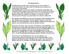 Abschreibtext-Maiglöckchen.pdf